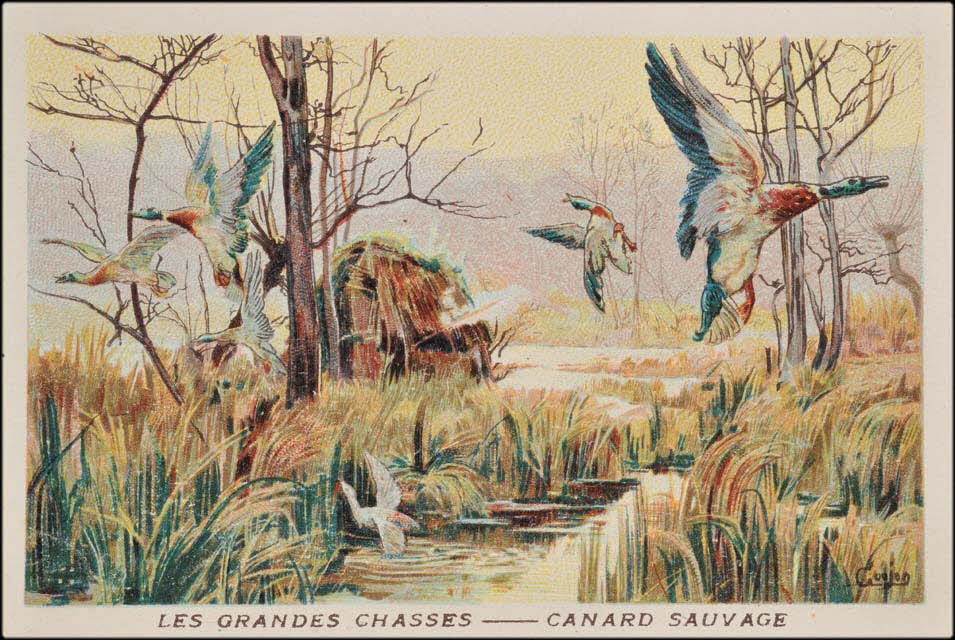 Goujon ; Romanet carte réclame chromo Paris 1877-1907 1995.1.655.4 Photo Mucem