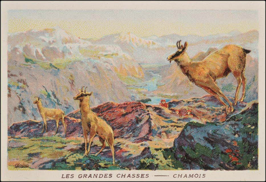 Goujon ; Romanet carte réclame chromo Paris 1877-1907 1995.1.655.6 Photo Mucem