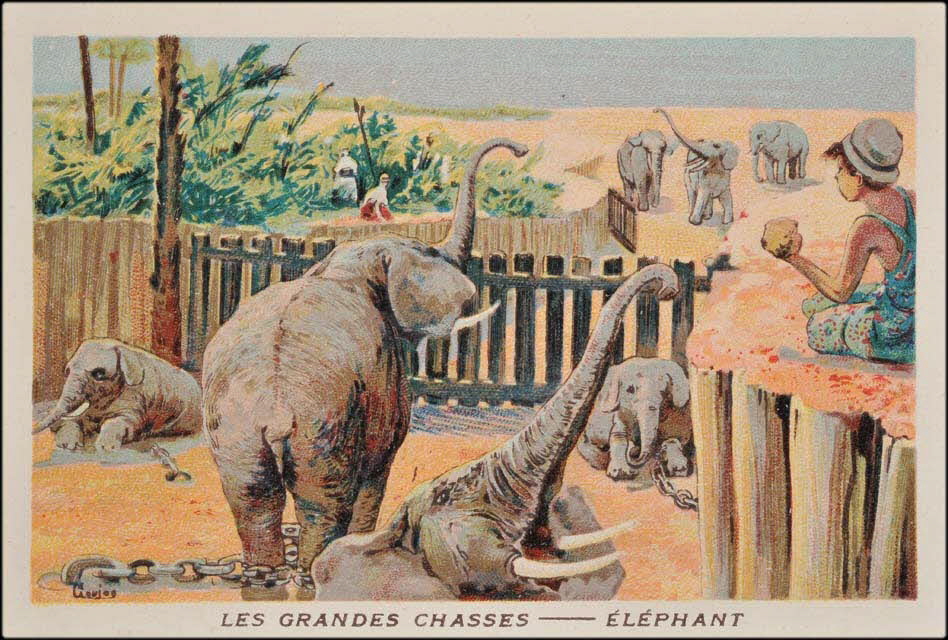 Goujon ; Romanet carte réclame chromo Paris 1877-1907 1995.1.655.8 Photo Mucem