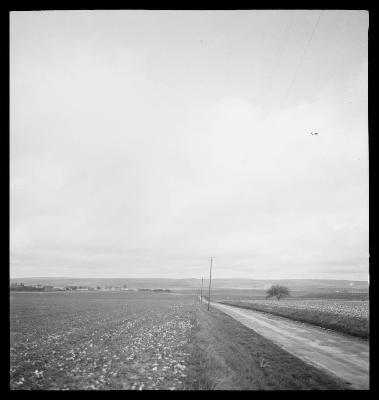Marc Augier photographie La ferme du Manet. De droite à gauche : hangars et les bergeries, face Sud Ile-de-France, France 1937 Ph.1937.1078 Photo