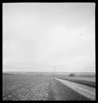Marc Augier photographie La ferme du Manet. De droite à gauche : hangars et les bergeries, face Sud Ile-de-France, France 1937 Ph.1937.1078  Photo