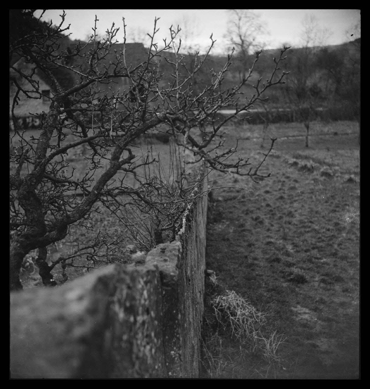 Marc Augier photographie Mur dit "tendus" en laves (pierres plates). Les laves sont jointes avec un ciment de sable Bourgogne, France 1937/2/1 Ph.1937.93 Photo