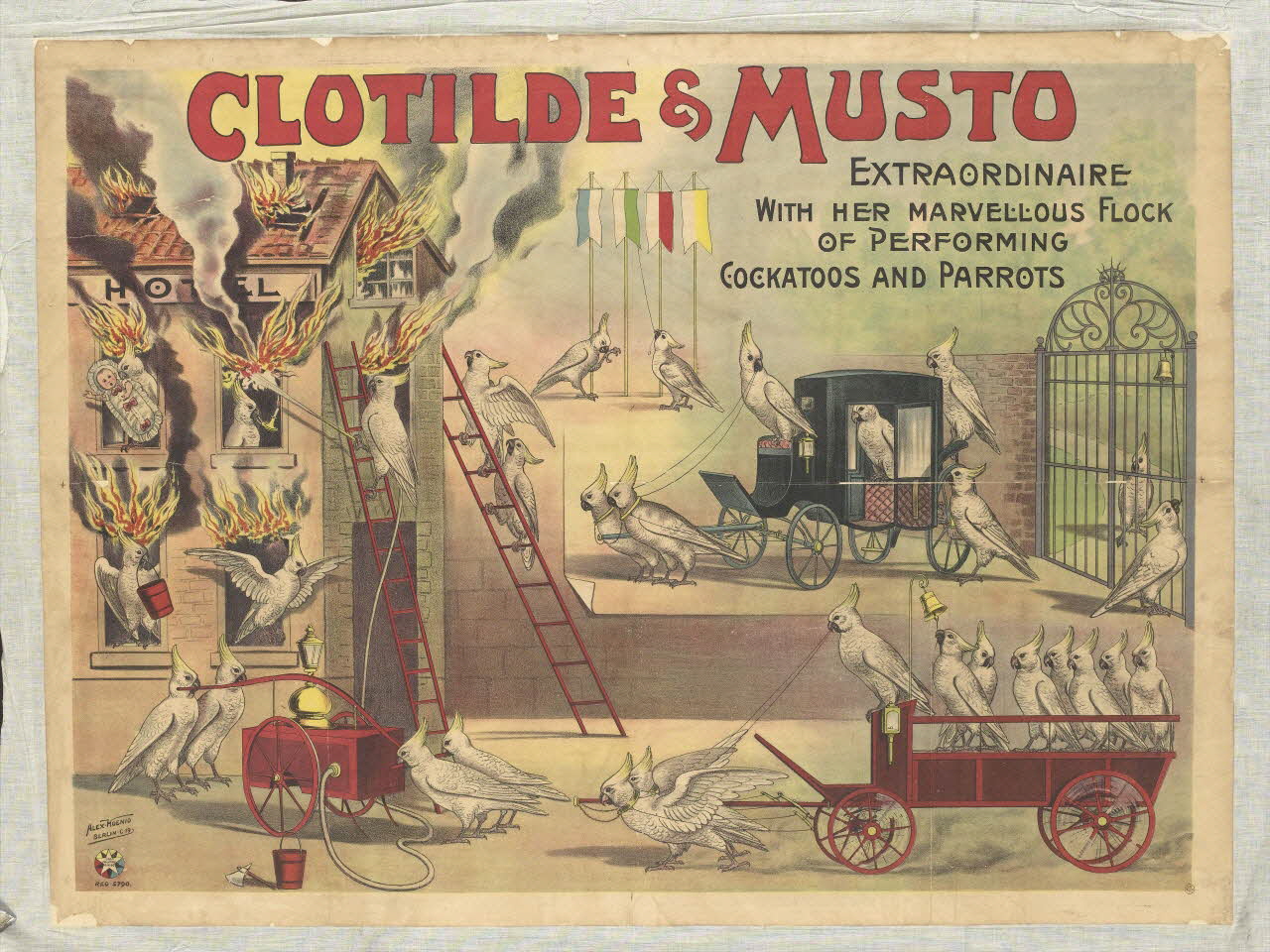 affiche CLOTILDE & MUSTO 1955.46.65 Photo RMN-Grand Palais (Mucem)
