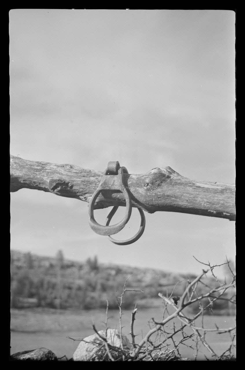 Mireille Place photographie Boucles de timon supportées par le joug Languedoc-Roussillon, France 1938/9/2 Ph.1938.10.94 Photo
