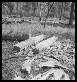 Rappeport photographie Bois de Verrières. Bois scié et bois équarri Ile-de-France, France 1938/5/8 Ph.1938.4.32 Photo