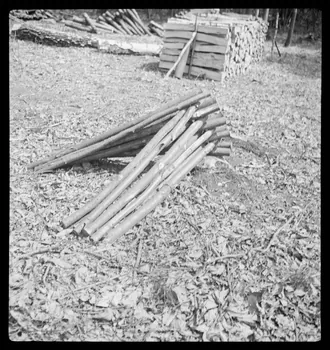 Rappeport photographie Bois de Verrières. Façon de mettre le bois en tas Ile-de-France, France 1938/5/8 Ph.1938.4.40 Photo