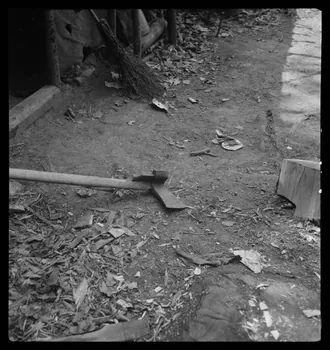 Rappeport photographie Bois de Verrières. Cognée Ile-de-France, France 1938/5/8 Ph.1938.4.42 Photo