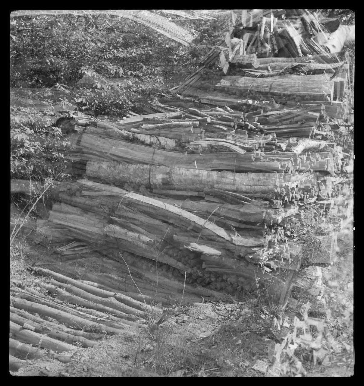 Rappeport photographie Bois de Verrières. Tas de bois construit sur un fossé recouvert Ile-de-France, France 1938/5/8 Ph.1938.4.43  Photo