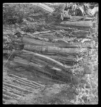 Rappeport photographie Bois de Verrières. Tas de bois construit sur un fossé recouvert Ile-de-France, France 1938/5/8 Ph.1938.4.43 Photo