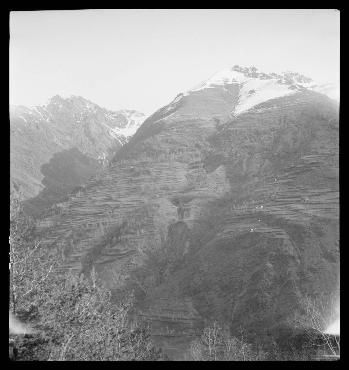 Rappeport photographie Cultures en terrasses Provence-Alpes-Côte d'Azur, France 1938/4/4 Ph.1938.4.5 Photo