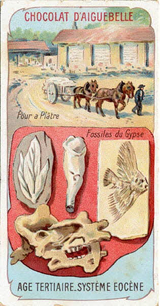Edition de la Chocolaterie d'Aiguebelle carte réclame chromo Rhône-Alpes, France 1900-1919 1996.40.439.4 Photo