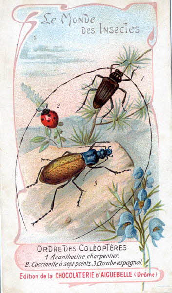 Edition de la Chocolaterie d'Aiguebelle carte réclame chromo 1900 1995.1.3908.2 Photo