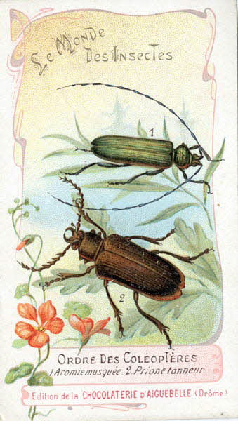 Edition de la Chocolaterie d'Aiguebelle carte réclame chromo 1900 1995.1.3908.4 Photo