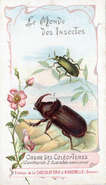 Edition de la Chocolaterie d'Aiguebelle carte réclame chromo 1900 1995.1.3908.5 Photo