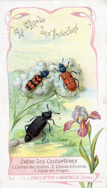 Edition de la Chocolaterie d'Aiguebelle carte réclame chromo 1900 1995.1.3908.10 Photo