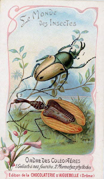 Edition de la Chocolaterie d'Aiguebelle carte réclame chromo 1900 1995.1.3908.17 Photo
