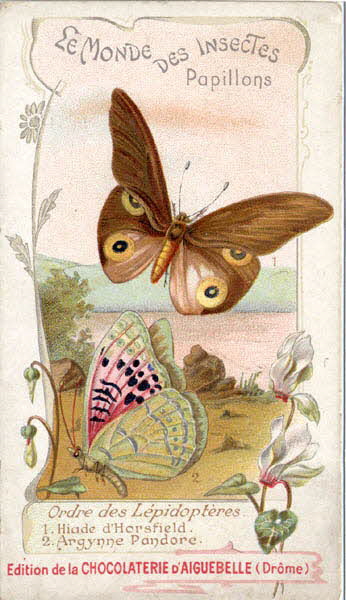 Edition de la Chocolaterie d'Aiguebelle carte réclame chromo 1900-1919 1996.40.441.8 Photo