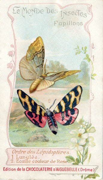 Edition de la Chocolaterie d'Aiguebelle carte réclame chromo 1900-1919 1996.40.441.11 Photo