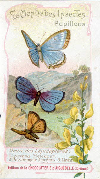 Edition de la Chocolaterie d'Aiguebelle carte réclame chromo 1900-1919 1996.40.441.12 Photo