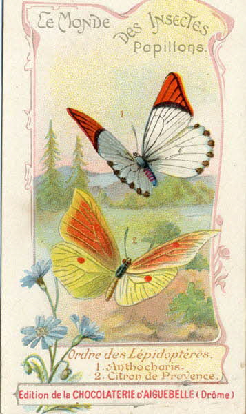 Edition de la Chocolaterie d'Aiguebelle carte réclame chromo 1900-1919 1996.40.441.1 Photo