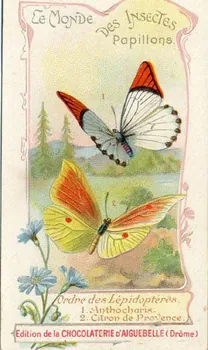 Edition de la Chocolaterie d'Aiguebelle carte réclame chromo 1900-1919 1996.40.441.1 Photo