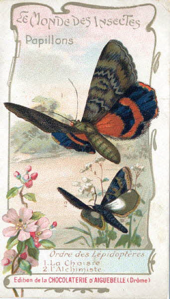Edition de la Chocolaterie d'Aiguebelle carte réclame chromo 1900-1919 1996.40.441.4 Photo