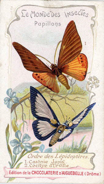 Edition de la Chocolaterie d'Aiguebelle carte réclame chromo 1900-1919 1996.40.441.3 Photo