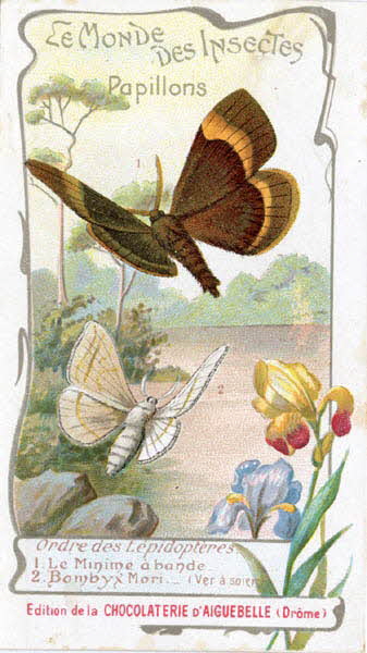 Edition de la Chocolaterie d'Aiguebelle carte réclame chromo 1900-1919 1996.40.441.13 Photo