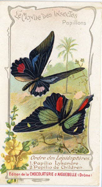 Edition de la Chocolaterie d'Aiguebelle carte réclame chromo 1900-1919 1996.40.441.18 Photo