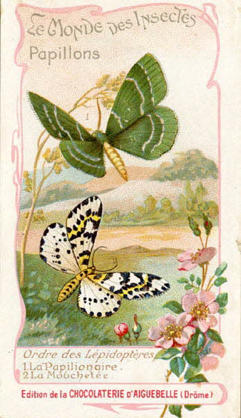 Edition de la Chocolaterie d'Aiguebelle carte réclame chromo 1900-1919 1996.40.441.19 Photo