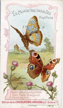 Edition de la Chocolaterie d'Aiguebelle carte réclame chromo 1900-1919 1996.40.441.20  Photo