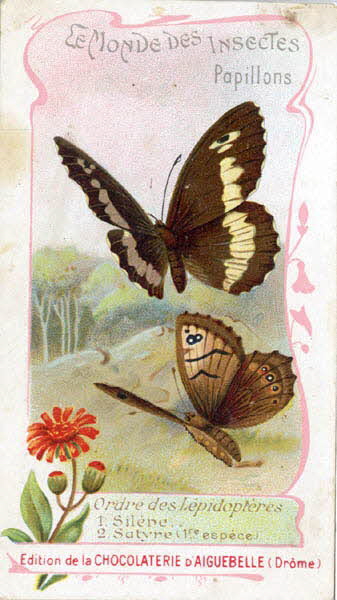 Edition de la Chocolaterie d'Aiguebelle carte réclame chromo 1900-1919 1996.40.441.23 Photo