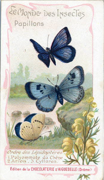 Edition de la Chocolaterie d'Aiguebelle carte réclame chromo 1900-1919 1996.40.441.21 Photo