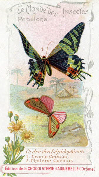 Edition de la Chocolaterie d'Aiguebelle carte réclame chromo 1900-1919 1996.40.441.26 Photo