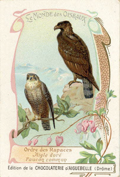 Edition de la Chocolaterie d'Aiguebelle carte réclame chromo 1900-1919 1996.40.442.1 Photo