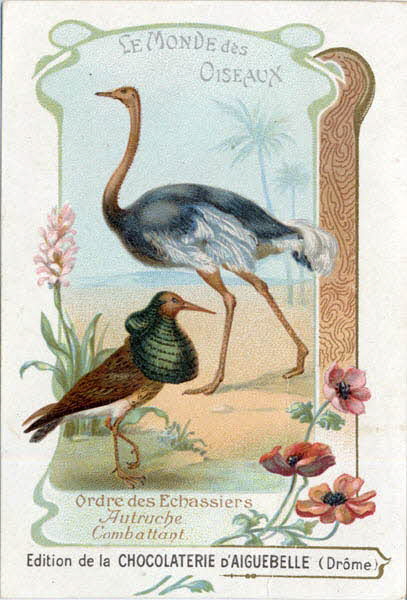Edition de la Chocolaterie d'Aiguebelle carte réclame chromo 1900-1919 1996.40.442.6 Photo
