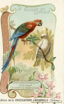 Edition de la Chocolaterie d'Aiguebelle carte réclame chromo 1900-1919 1996.40.442.4 Photo