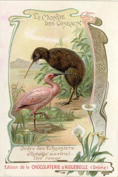 Edition de la Chocolaterie d'Aiguebelle carte réclame chromo 1900-1919 1996.40.442.3 Photo