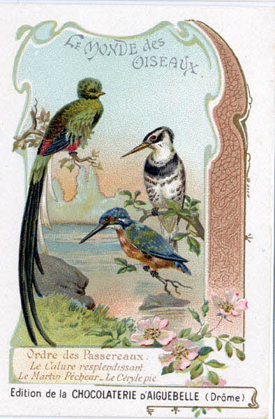 Edition de la Chocolaterie d'Aiguebelle carte réclame chromo 1900-1919 1996.40.442.7 Photo