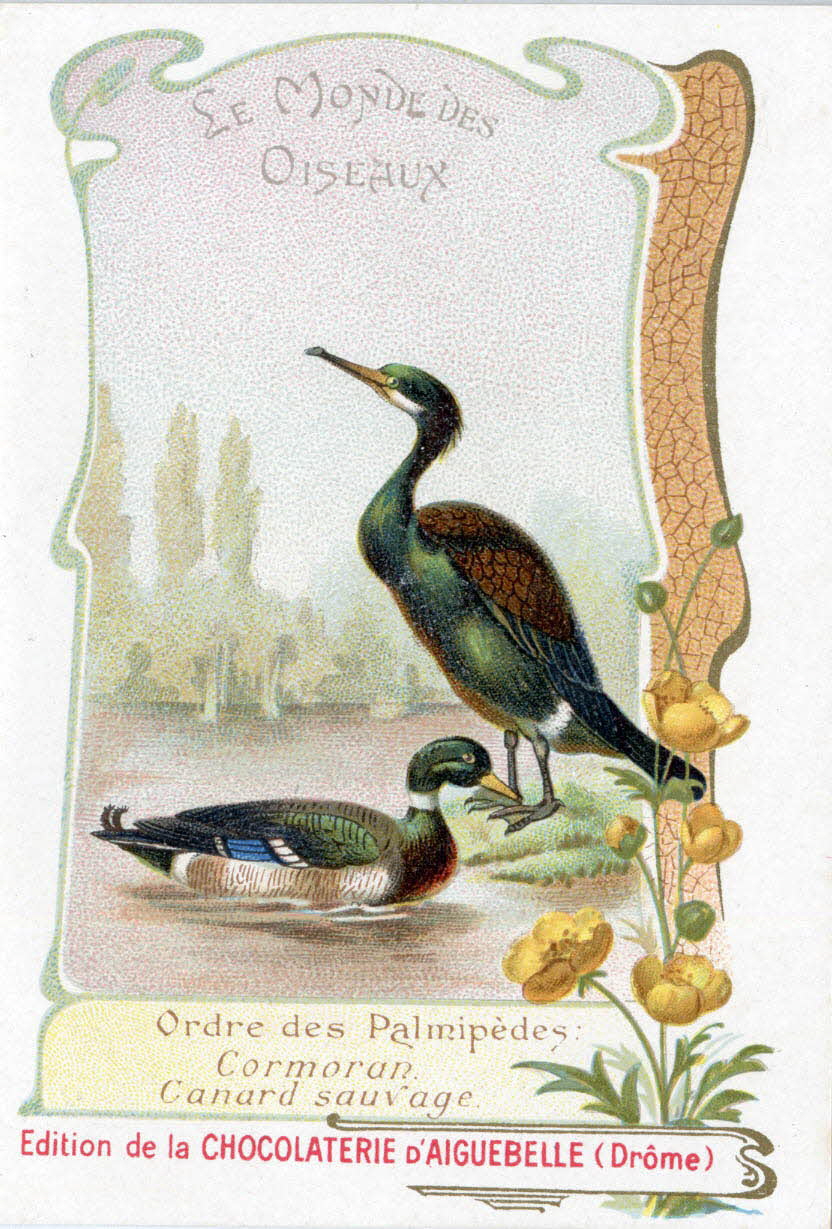 Edition de la Chocolaterie d'Aiguebelle carte réclame chromo 1900-1919 1996.40.442.10 Photo