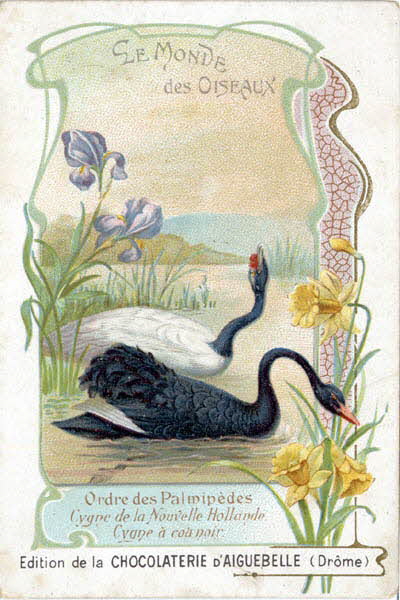 Edition de la Chocolaterie d'Aiguebelle carte réclame chromo 1900-1919 1996.40.442.11 Photo