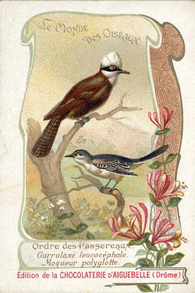 Edition de la Chocolaterie d'Aiguebelle carte réclame chromo 1900-1919 1996.40.442.15  Photo
