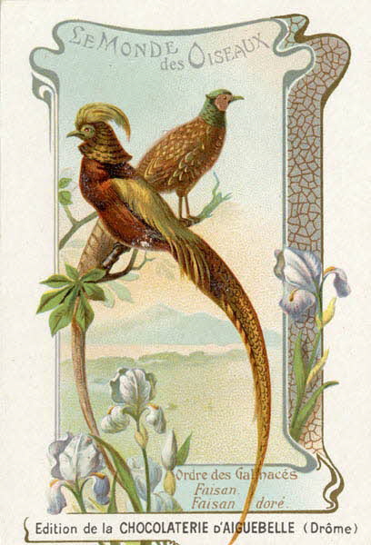 Edition de la Chocolaterie d'Aiguebelle carte réclame chromo 1900-1919 1996.40.442.13 Photo