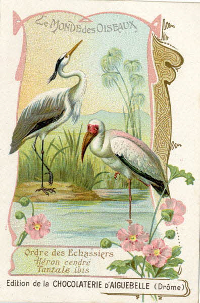 Edition de la Chocolaterie d'Aiguebelle carte réclame chromo 1900-1919 1996.40.442.20 Photo