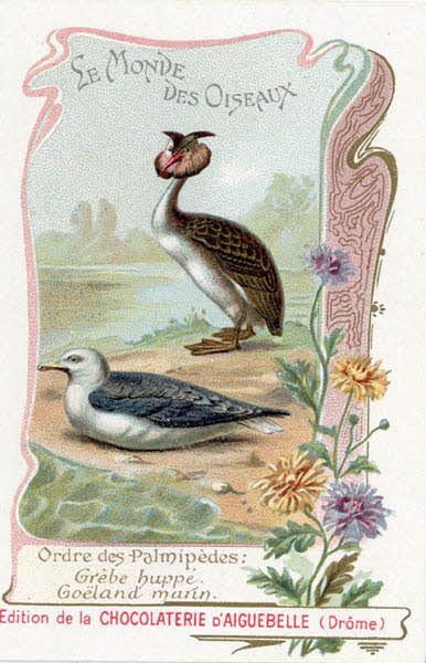 Edition de la Chocolaterie d'Aiguebelle carte réclame chromo 1900-1919 1996.40.442.18 Photo