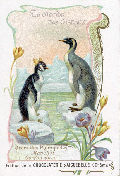 Edition de la Chocolaterie d'Aiguebelle carte réclame chromo 1900-1919 1996.40.442.26 Photo