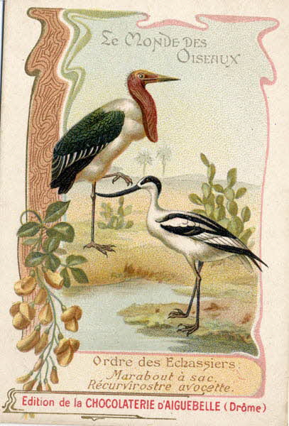 Edition de la Chocolaterie d'Aiguebelle carte réclame chromo 1900-1919 1996.40.442.27 Photo