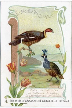 Edition de la Chocolaterie d'Aiguebelle carte réclame chromo 1900-1919 1996.40.442.8  Photo