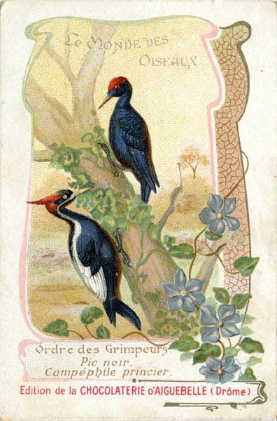 Edition de la Chocolaterie d'Aiguebelle carte réclame chromo 1900-1919 1996.40.442.33 Photo