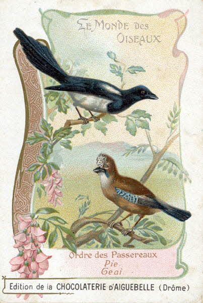 Edition de la Chocolaterie d'Aiguebelle carte réclame chromo 1900-1919 1996.40.442.35 Photo